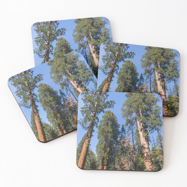 Item preview, Giant Redwood Sequoia Trees Touch the Sky designed and sold by SafariByMarisa.
