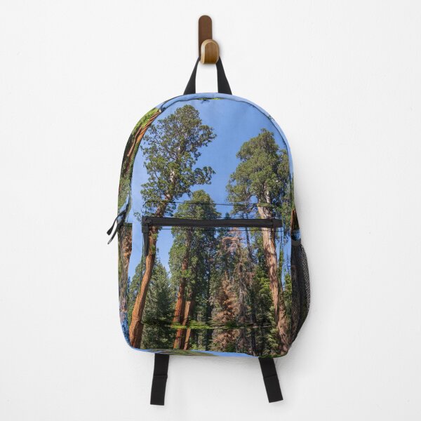 Item preview, Giant Redwood Sequoia Trees Touch the Sky designed and sold by SafariByMarisa.