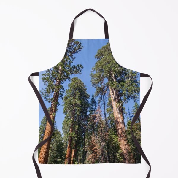 Item preview, Giant Redwood Sequoia Trees Touch the Sky designed and sold by SafariByMarisa.
