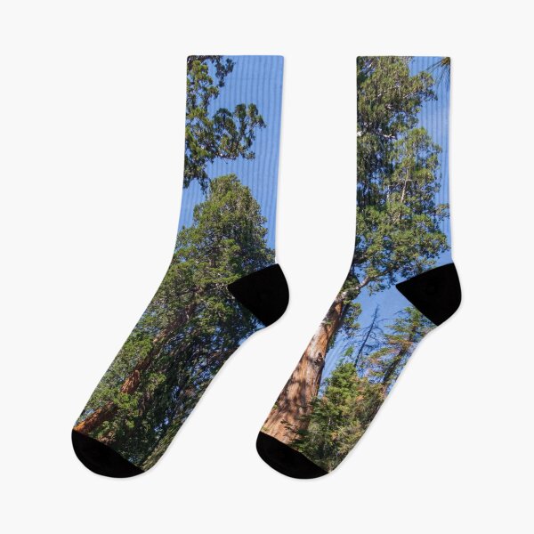 Item preview, Giant Redwood Sequoia Trees Touch the Sky designed and sold by SafariByMarisa.