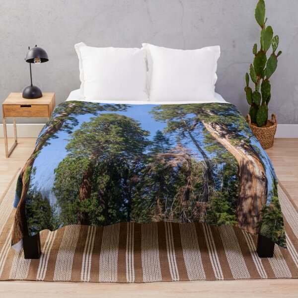 Item preview, Giant Redwood Sequoia Trees Touch the Sky designed and sold by SafariByMarisa.