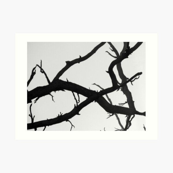 Untitled Art Print