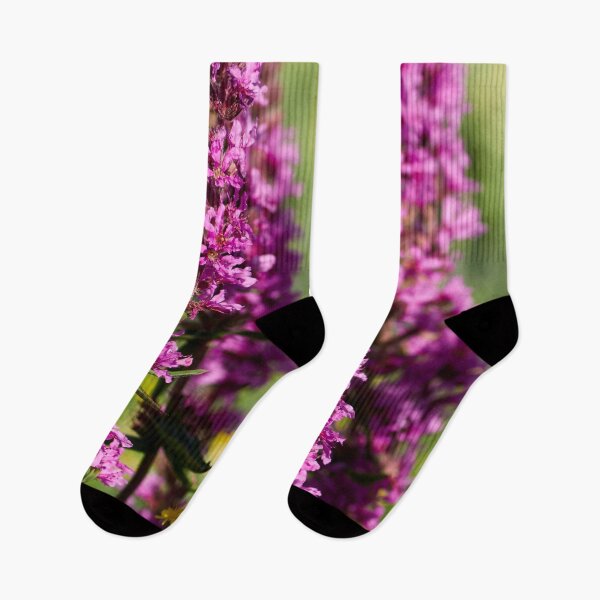 Item preview, Remember the Deep Purple. Purple Loosestrife designed and sold by Jouko Lehto Photography.