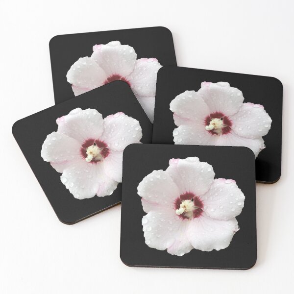 Item preview, Rose of Sharon aka Hibiscus with Dew Drops - black background designed and sold by Louise-Mae.