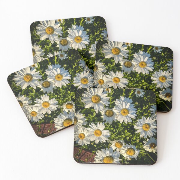 Item preview, Shasta Daisy Flowers, Los Angeles, California designed and sold by Douglas E. Welch Design and Photography.