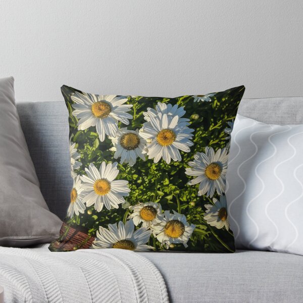 Item preview, Shasta Daisy Flowers, Los Angeles, California designed and sold by Douglas E. Welch Design and Photography.