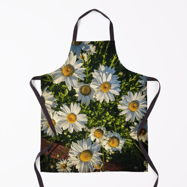 Item preview, Shasta Daisy Flowers, Los Angeles, California designed and sold by Douglas E. Welch Design and Photography.