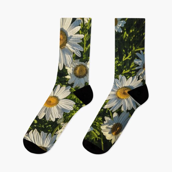 Item preview, Shasta Daisy Flowers, Los Angeles, California designed and sold by Douglas E. Welch Design and Photography.