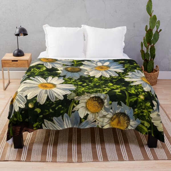Item preview, Shasta Daisy Flowers, Los Angeles, California designed and sold by Douglas E. Welch Design and Photography.
