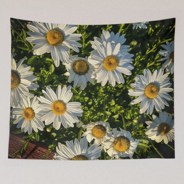 Item preview, Shasta Daisy Flowers, Los Angeles, California designed and sold by Douglas E. Welch Design and Photography.