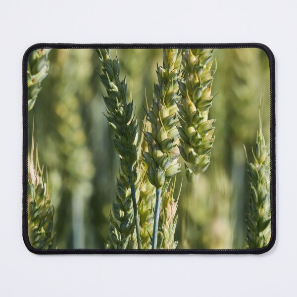 Item preview, For bread or sweetbread. Wheat designed and sold by Jouko Lehto Photography.