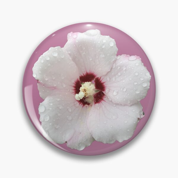 Item preview, Rose of Sharon aka Hibiscus with Dew Drops - pink background designed and sold by Louise-Mae.