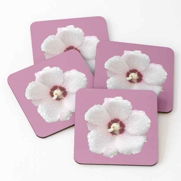 Item preview, Rose of Sharon aka Hibiscus with Dew Drops - pink background designed and sold by Louise-Mae.