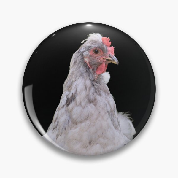Item preview, White Hen Close Up - black background designed and sold by Louise-Mae.