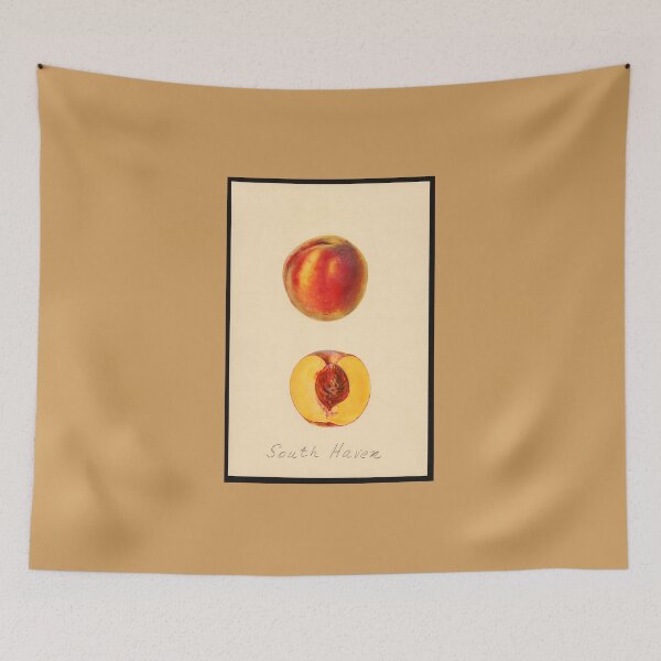 Item preview, Pomological Watercolor of South Haven Peaches (Prunus persica) designed and sold by Amanda1775.