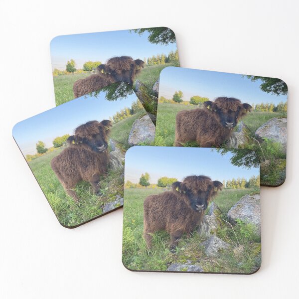Item preview, Scottish Highland Cattle Calf 4505 designed and sold by SaarelaHighland.
