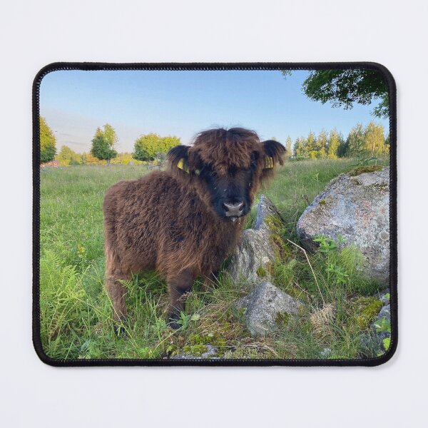 Item preview, Scottish Highland Cattle Calf 4505 designed and sold by SaarelaHighland.