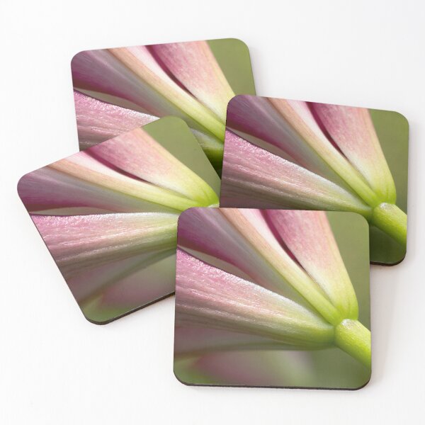 Item preview, Flor de lirio púrpura cerrar designed and sold by KRFNatureGifts.