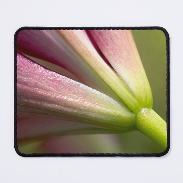Item preview, Purple lily flower close up designed and sold by KRFNatureGifts.