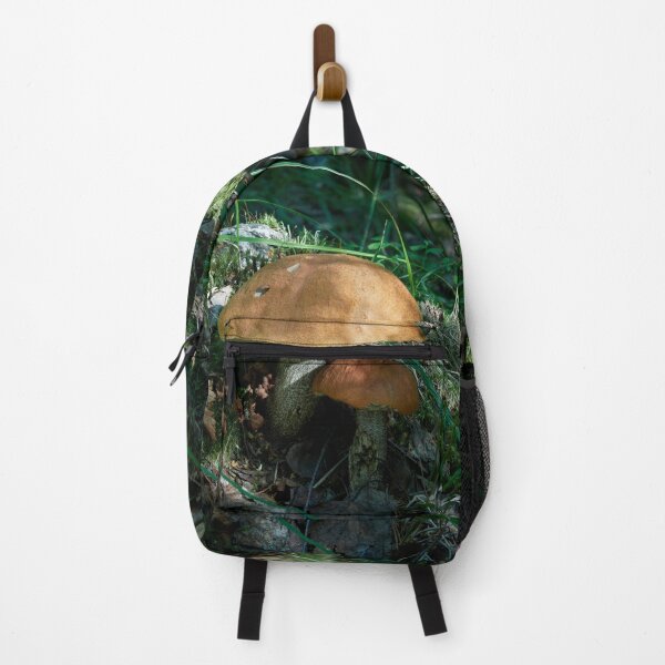 Item preview, Brothers. Orange birch bolete designed and sold by Jouko Lehto Photography.