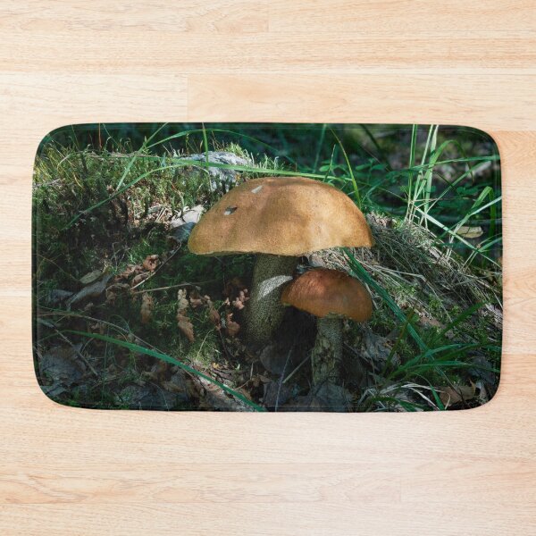 Item preview, Brothers. Orange birch bolete designed and sold by Jouko Lehto Photography.