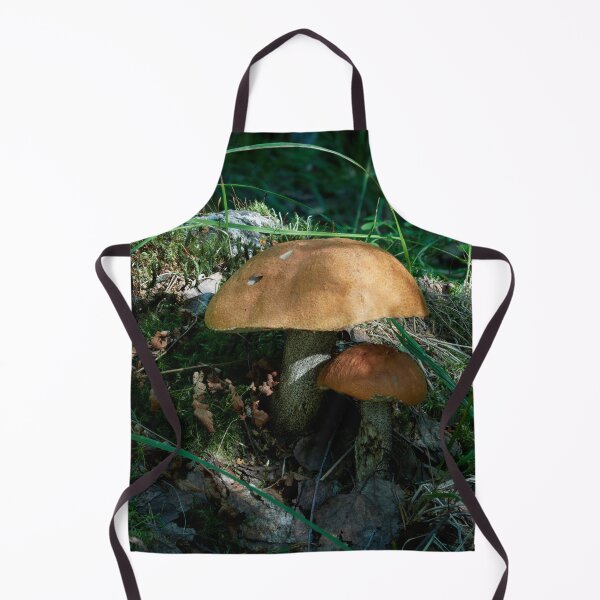 Item preview, Brothers. Orange birch bolete designed and sold by Jouko Lehto Photography.