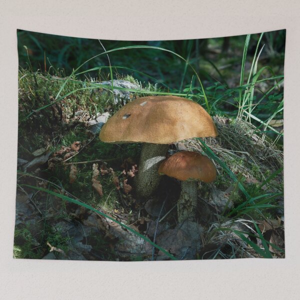 Item preview, Brothers. Orange birch bolete designed and sold by Jouko Lehto Photography.