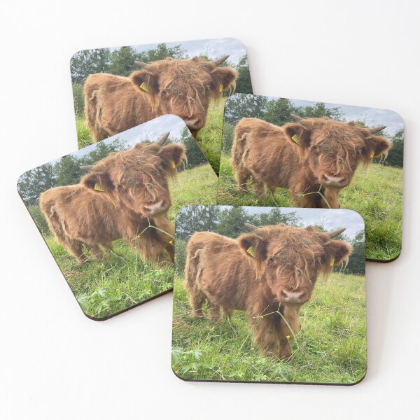 Item preview, Scottish Highland Cattle Calf 4515 designed and sold by SaarelaHighland.