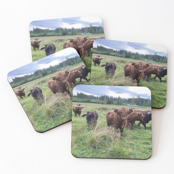 Item preview, Scottish Highland Cattle Bulls 4516 designed and sold by SaarelaHighland.