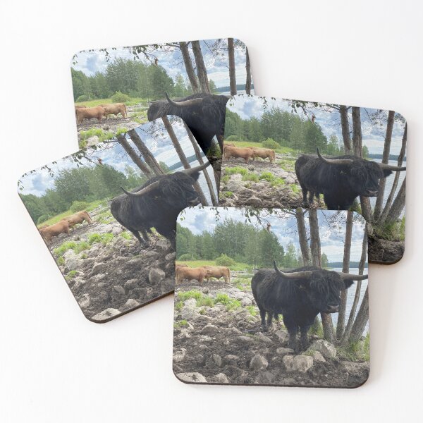 Item preview, Scottish Highland Cattle Bulls 4517 designed and sold by SaarelaHighland.