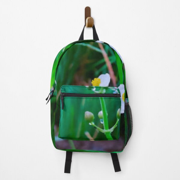 Item preview, The bloom of sagittaria sagittifolia designed and sold by Royalsticker.