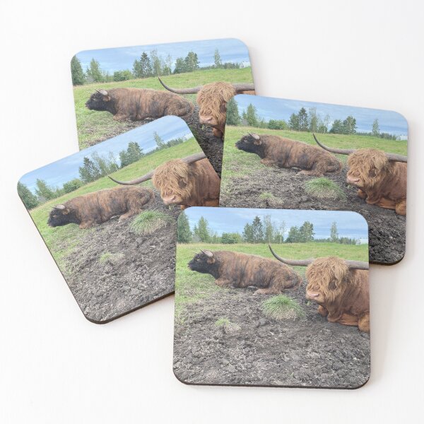 Item preview, Scottish Highland Cattle Bulls 4518 designed and sold by SaarelaHighland.