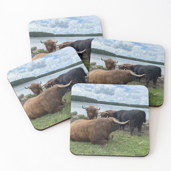 Item preview, Scottish Highland Cattle Bulls 4519 designed and sold by SaarelaHighland.