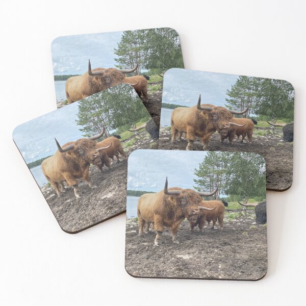 Item preview, Scottish Highland Cattle Bulls 4520 designed and sold by SaarelaHighland.