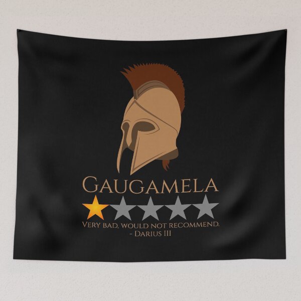 Item preview, Ancient Greek History Meme - Gaugamela - Alexander The Great designed and sold by Styrman.