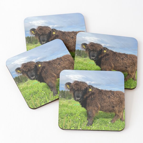 Item preview, Scottish Highland Cattle Calf 4521 designed and sold by SaarelaHighland.