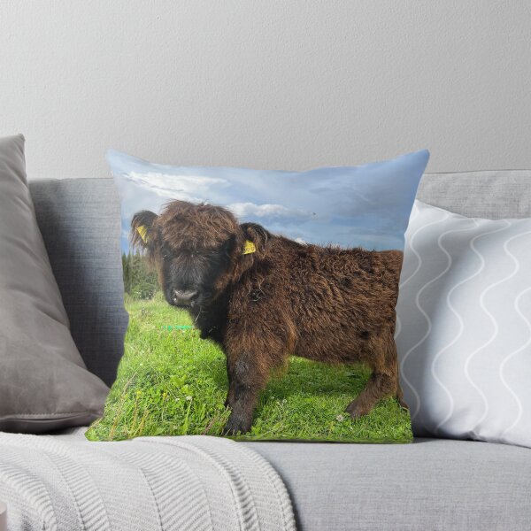 Item preview, Scottish Highland Cattle Calf 4521 designed and sold by SaarelaHighland.