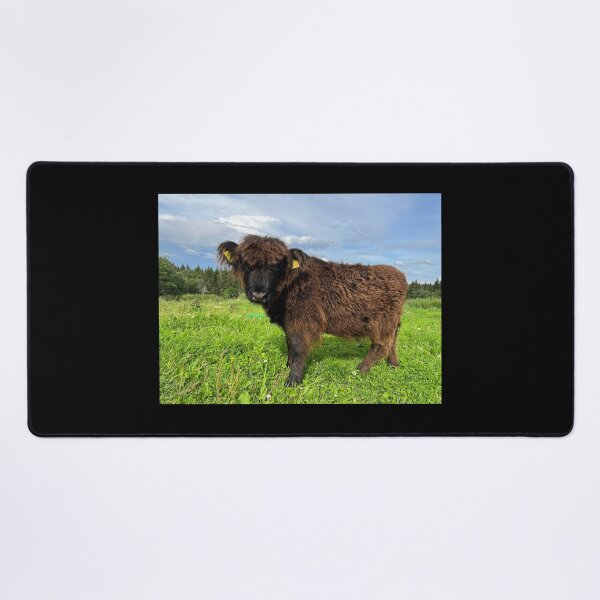Item preview, Scottish Highland Cattle Calf 4521 designed and sold by SaarelaHighland.