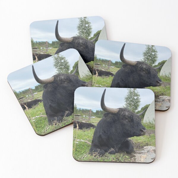 Item preview, Scottish Highland Cattle Bull 4526 designed and sold by SaarelaHighland.