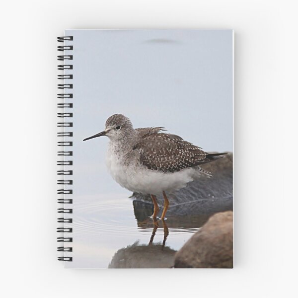 Item preview, Sandpiper at the Lake designed and sold by Linda Crockett.