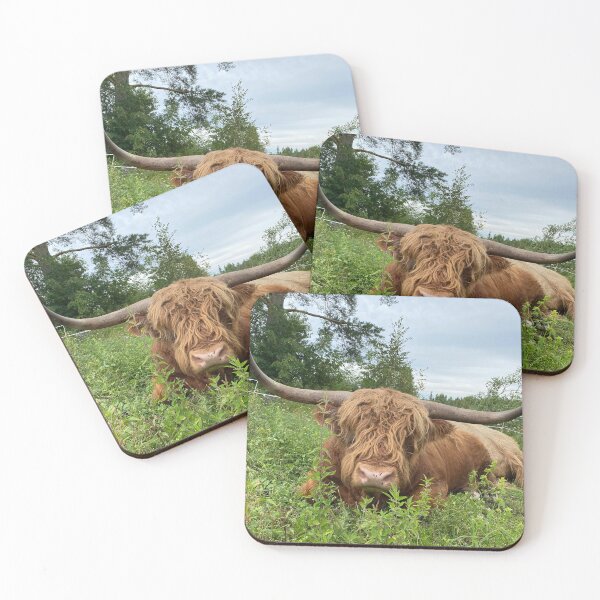 Item preview, Scottish Highland Cattle Bull 4527 designed and sold by SaarelaHighland.