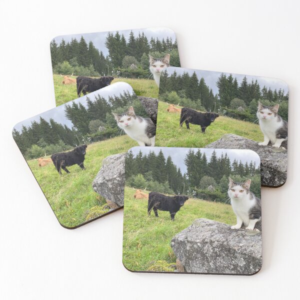 Item preview, Scottish Highland Cattle Cows and Cat 4528 designed and sold by SaarelaHighland.