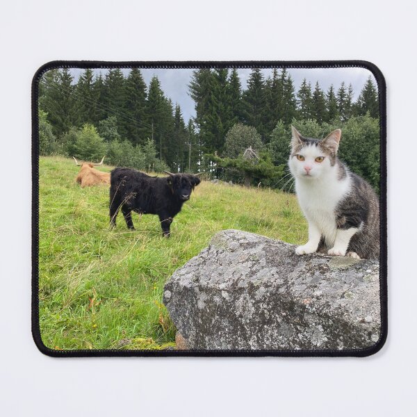 Item preview, Scottish Highland Cattle Cows and Cat 4528 designed and sold by SaarelaHighland.