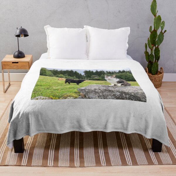 Item preview, Scottish Highland Cattle Cows and Cat 4528 designed and sold by SaarelaHighland.