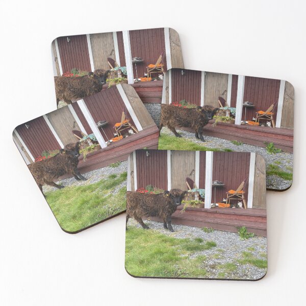 Item preview, Scottish Highland Cattle Calf and Cats 4529 designed and sold by SaarelaHighland.