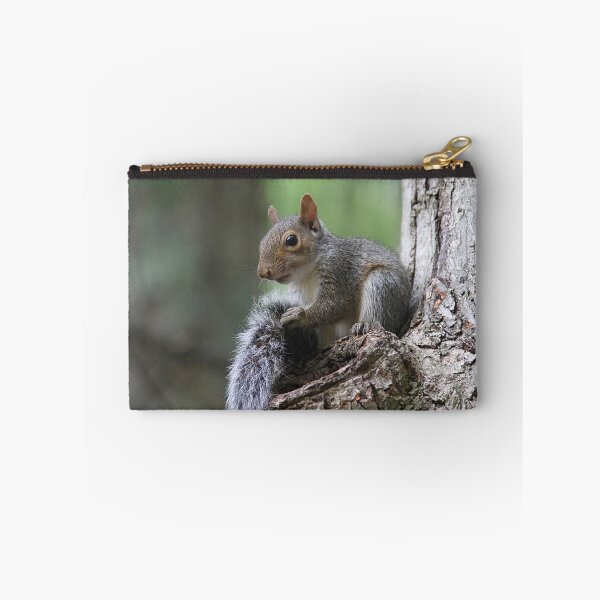 Item preview, Young Gray Squirrel designed and sold by Linda Crockett.
