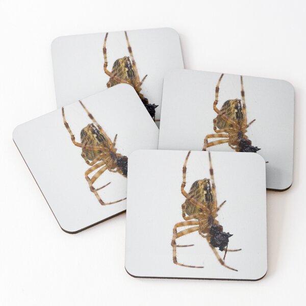 Item preview, The rest of the meal. Cross orbweaver designed and sold by Jouko Lehto Photography.