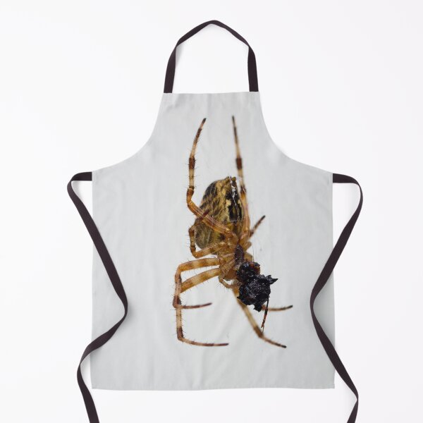 Item preview, The rest of the meal. Cross orbweaver designed and sold by Jouko Lehto Photography.