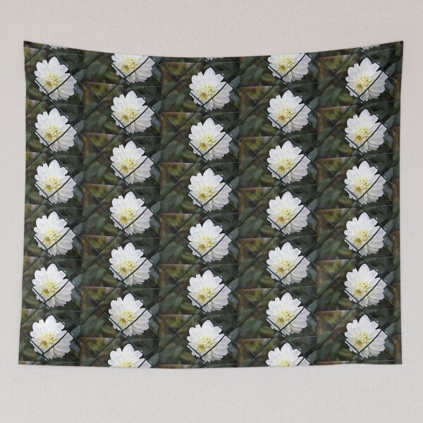 Item preview, Shy Snow White designed and sold by voelzis.