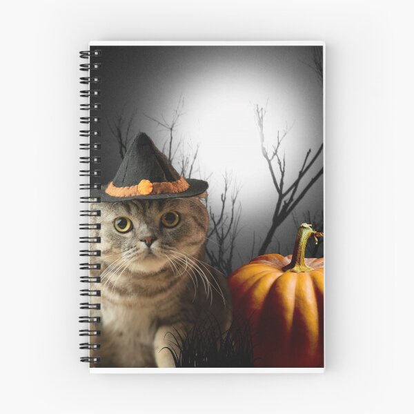 Artikelvorschau, Halloween Hexenkatze entworfen und verkauft von CheekyKitty.